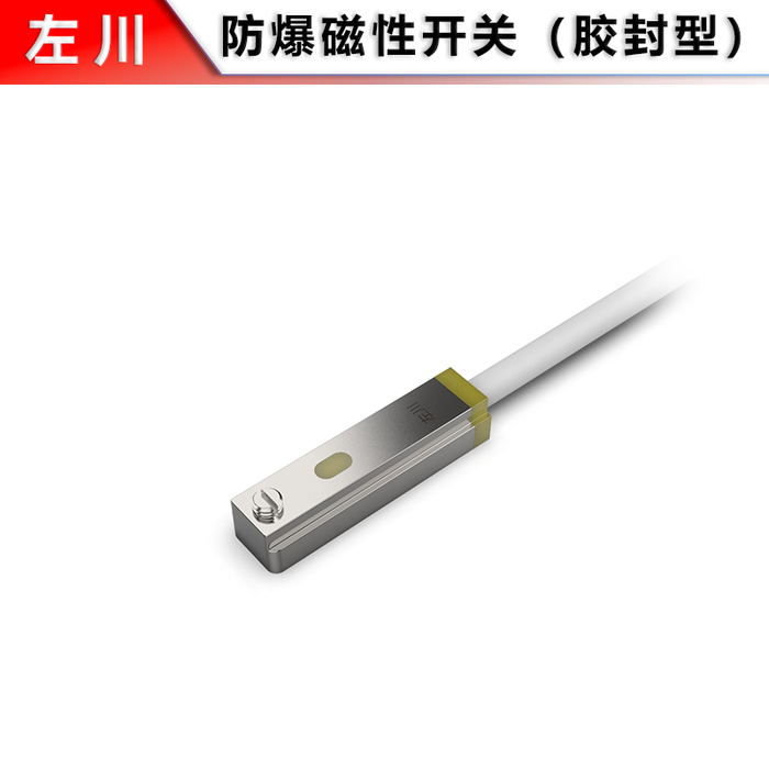 Explosion-Proof Magnetic Switch, Sealed Type (Flat Slot)