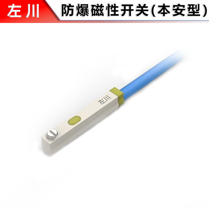Explosion-proof Magnetic Switch (C-slot)