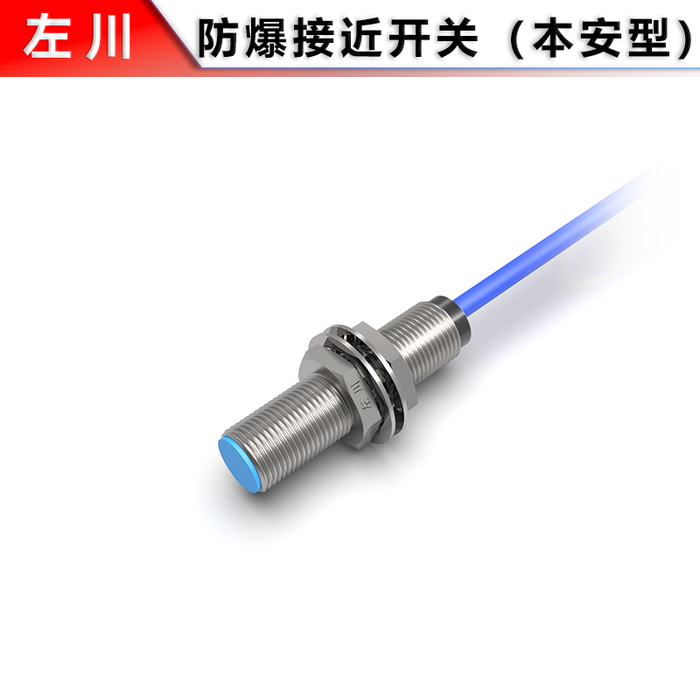 M12 Explosion-Proof Flush Proximity Switch