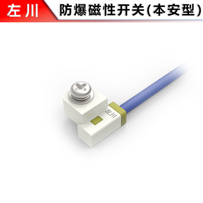 Explosion-proof Magnetic Switch (T-slot)