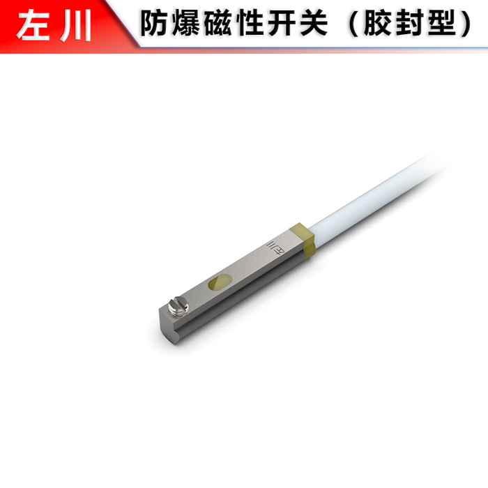Explosion-Proof Magnetic Switch, Sealed Type (C-Slot)