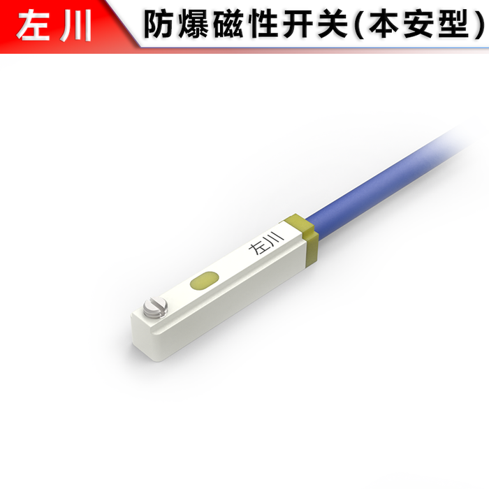 Explosion-proof Magnetic Switch (Square Slot)