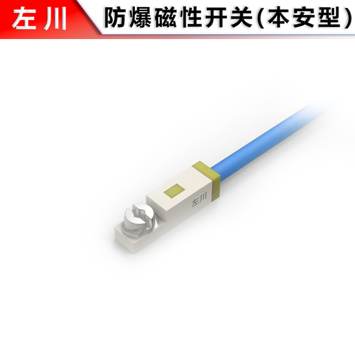 Explosion-Proof Magnetic Switch (T-Slot Type)