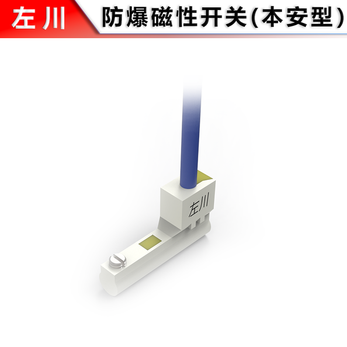 Explosion-proof Magnetic Switch (L/C-slot)