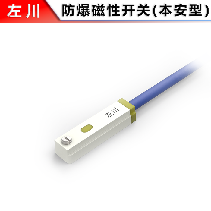 Explosion-proof Magnetic Switch (Flat Slot)