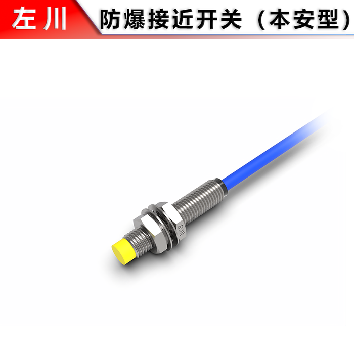 M8 Explosion-Proof Proximity Switch (Non-Flush Type)